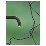 Every Drop Counts flyers