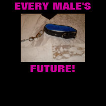 EVERY MALE'S FUTURE t-shirts
