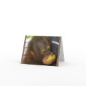 "Every Picture Tells a Story" cards