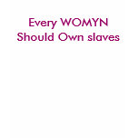 Every WOMYN Should Own slaves t-shirts