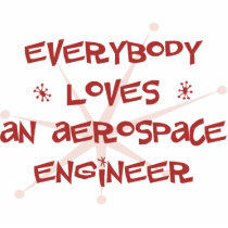 Everybody Loves An Aerospace Engineer Acrylic Cut Outs