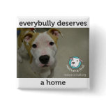 Everybully - simon buttons