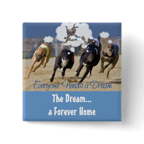 Everyone Needs a Dream