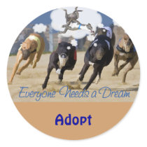 Everyone Needs a Dream
