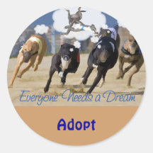 Everyone Needs a Dream Sticker