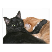 Everyone needs a hug post card