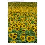 'Everything is going to be all right' card