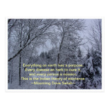 Everything On Earth Postcards
