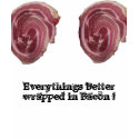 Everythings better wrapped in bacon ! t-shirts