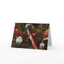 Evidence-of-Paradise Greeting Cards