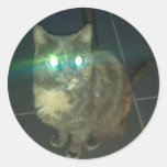 Evil Cat Stickers