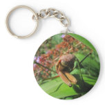 Evil Mantis ~ keychain