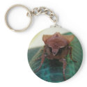 Evil Moth 1 ~ keychain