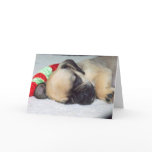 Evil New Baby Puppy Card
