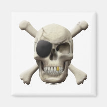 Evil Pirate Skull & Crossbones Magnets