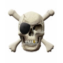 Evil Pirate Skull & Crossbones t-shirts
