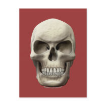 Evil Skull Postcards