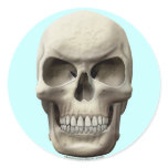 Evil Skull stickers