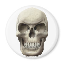 Evil Vampiric Skull Refrigerator Magnet