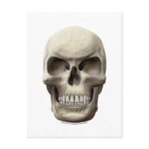 Evil Vampiric Skull Post Cards