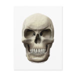 Evil Vampiric Skull postcards