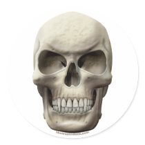 Evil Vampiric Skull Sticker