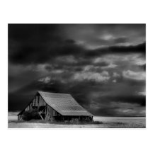 Evocative Beauty Post Card