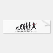 evolution boxing autoaufkleber