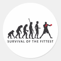 evolution boxing runder sticker