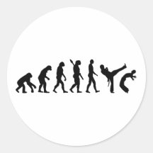 Evolution Capoeira Stickers