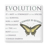 Evolution Change magnets
