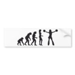 evolution cheerleading auto sticker