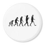 EVOLUTION Faded.png Magnets