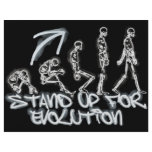EVOLUTION flyers