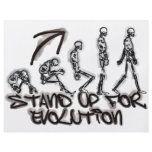 EVOLUTION flyers