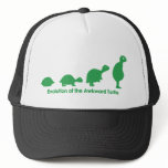 Evolution hats