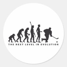 evolution icehockey stickers