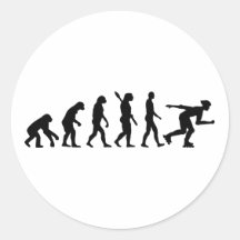 Evolution inline skating round stickers