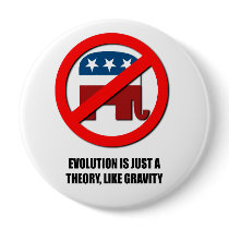 Evolution is just a theory like gravity pinback button