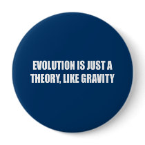 Evolution is just a theory like gravity pinback buttons