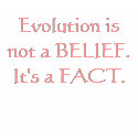 Evolution is not a BELIEF. It's a FACT. t-shirts