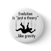 Evolution Just a Theory Buttons