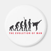 evolution martial arts magnete