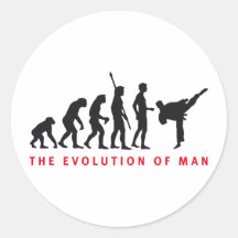 evolution martial arts runde aufkleber