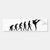 Evolution of Karate Bumper Sticker