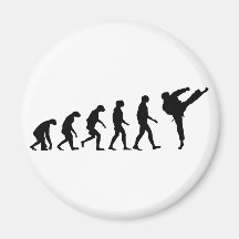 Evolution of Karate Fridge Magnets