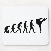 Evolution of Karate Mouse Mat