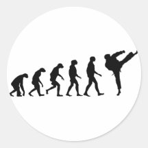 Evolution of Karate Round Stickers