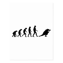 Evolution of Photography Post Card