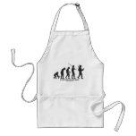 Evolution of the Bard Apron